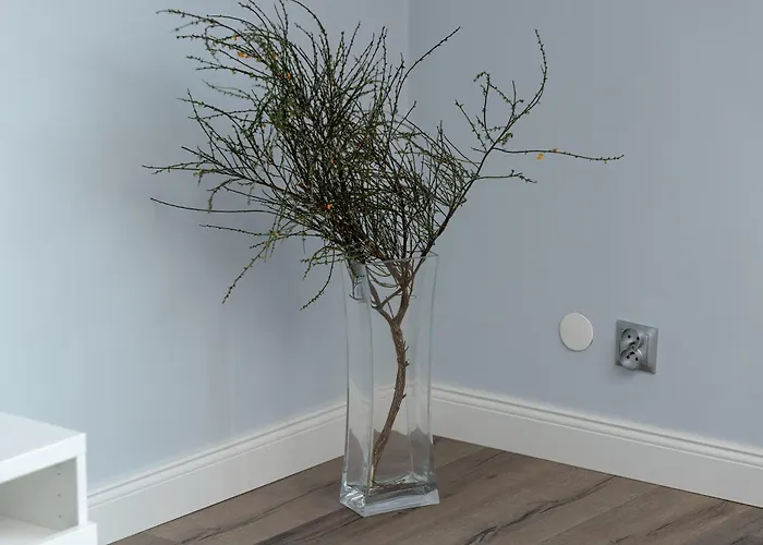 Jasminowy Stok Bright With Balcony By Renters *